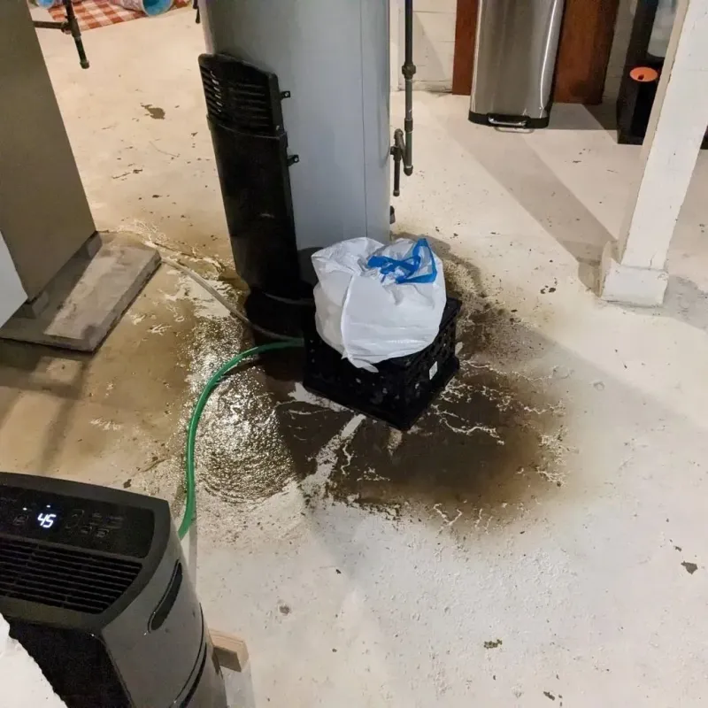 Sewage Backup Cleanup Service in Platte, SD